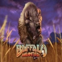 Buffalo Hunter slot logo by Nolimit City at Slotosport CasinoBuffalo Hunter